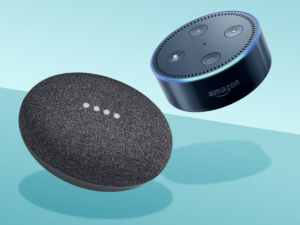 photo of an echo dot and a google home mini